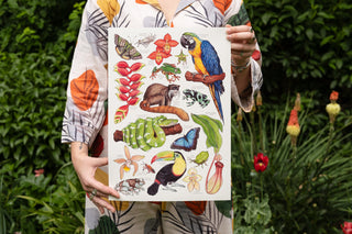 Amazon Rainforest Print