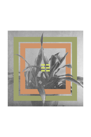 Earth (Draecena) Print