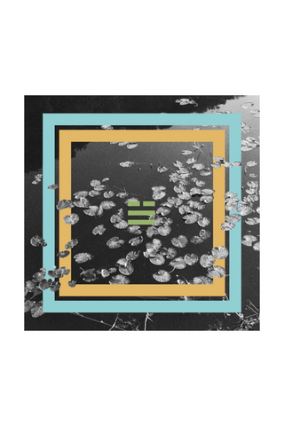 Lake (lilies) Print