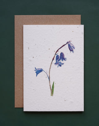 Bluebell Card