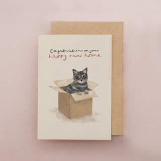 Box Cat Greetings Card