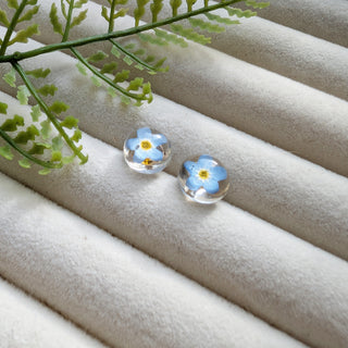 Bright Forget Me Not Stud Earrings