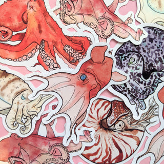 Cephalopods Sticker Set