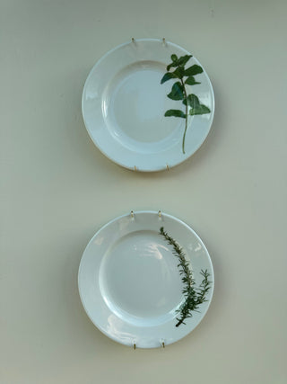 French vintage herb plates, pair (Mint & Dill)