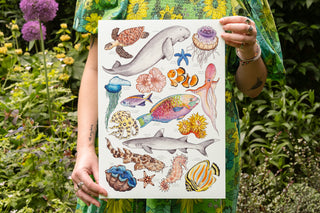 Great Barrier Reef Print