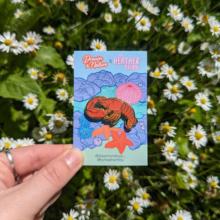 Lobster Enamel Pin