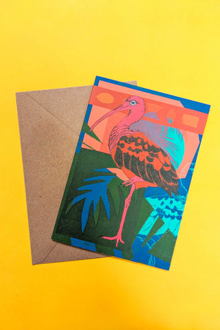 Scarlet Ibis Greetings Card