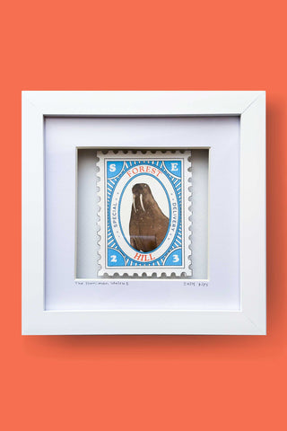 Framed Large Stamp - Walrus