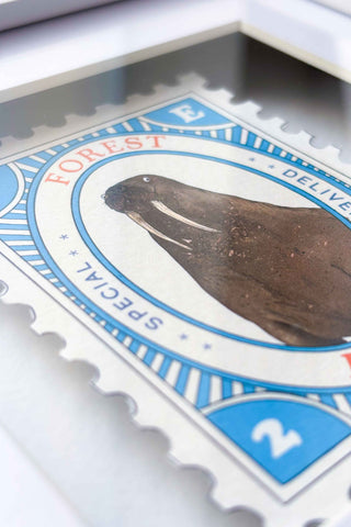 Framed Large Stamp - Walrus