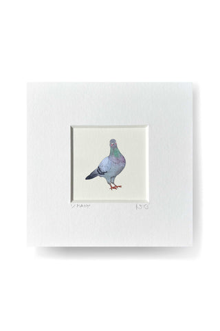 Tiny Print - London Pigeon