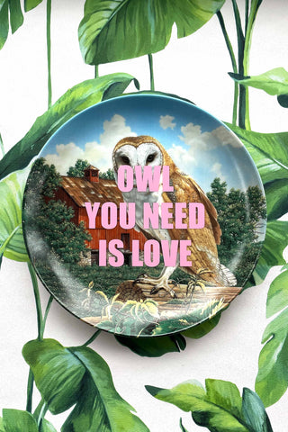 Medium Owl You Need Is Love Plate
