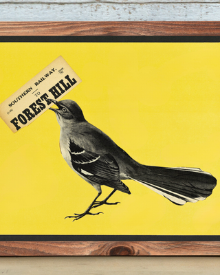 One Way Ticket to Forest Hill