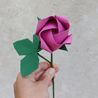 Origami Single Stem: Rose