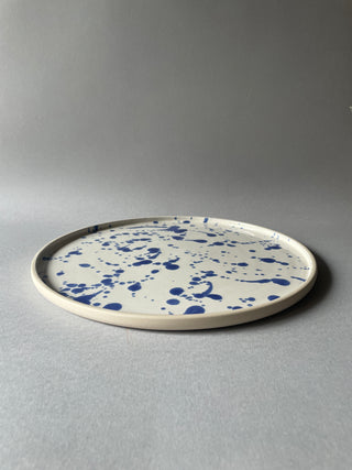 Large Splatter Platter
