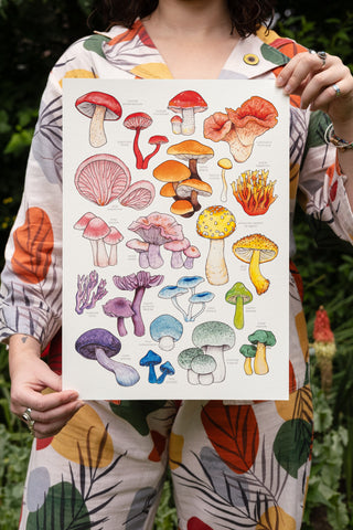 Rainbow Mushrooms Print