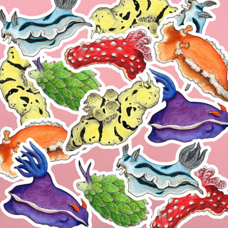 Rainbow Sea Slugs Sticker Set