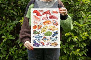 Rainbow Sea Slugs Print