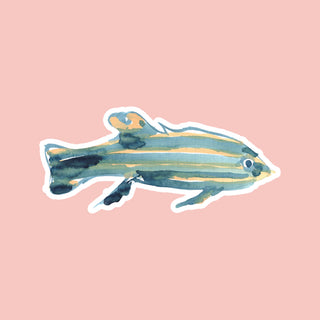 Illustrated Die Cut Sticker - Striped Fish