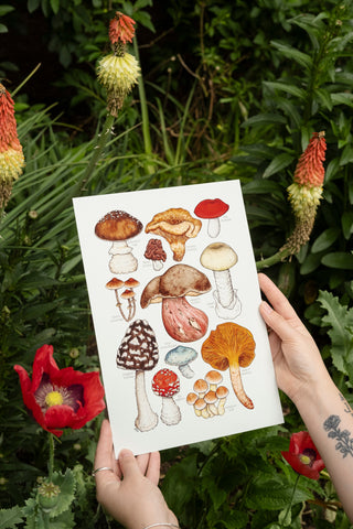 Toxic Mushrooms Print