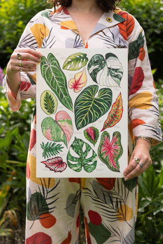 Tropical Leaves Print