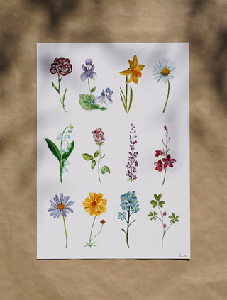 Watercolour Flowers