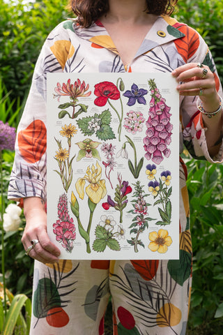 Wildflowers Print