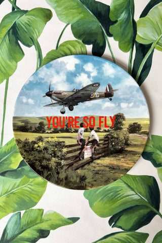 Medium You're So Fly Plate