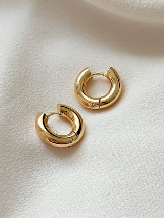 Chunky Hinged Hoop Earrings