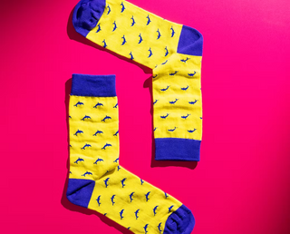 Delightful Dolphin Socks