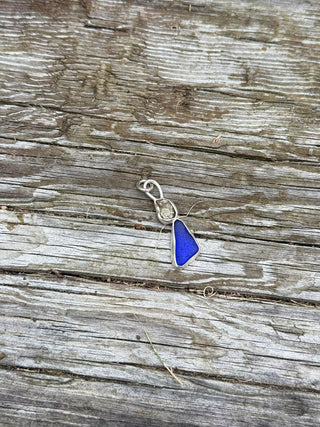 Fossil Tide Pendant