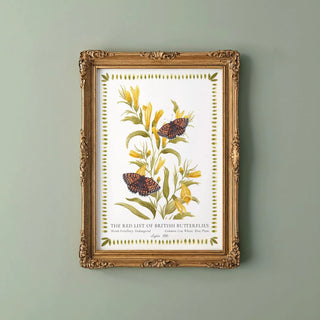 British Butterfly Greetings Card