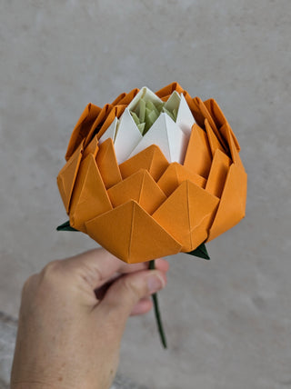 Origami Single Stem: Peony