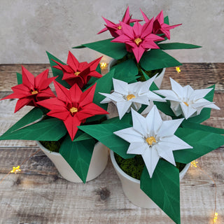 Origami Poinsettia Plant