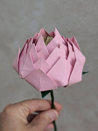 Origami Single Stem: Peony